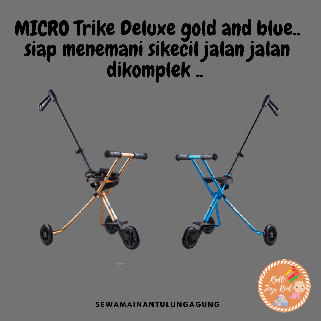 ELC ORIGINA MICRO TRIKE-GOLD DAN BLUE